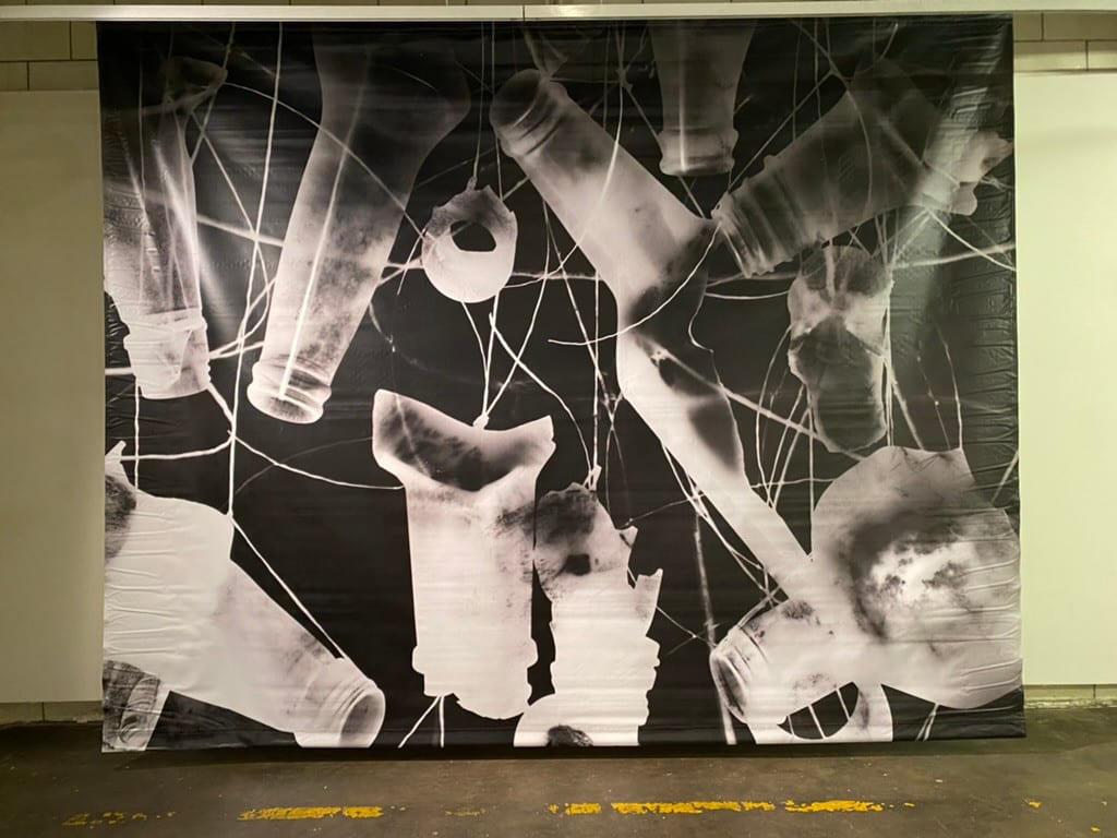 Ancestral Light Capture Series #2 by Tony Bingham 