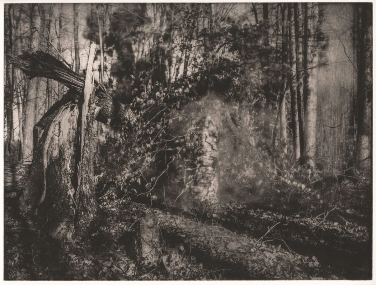Being in the Land (Winter Light) by Robyn Moore 
