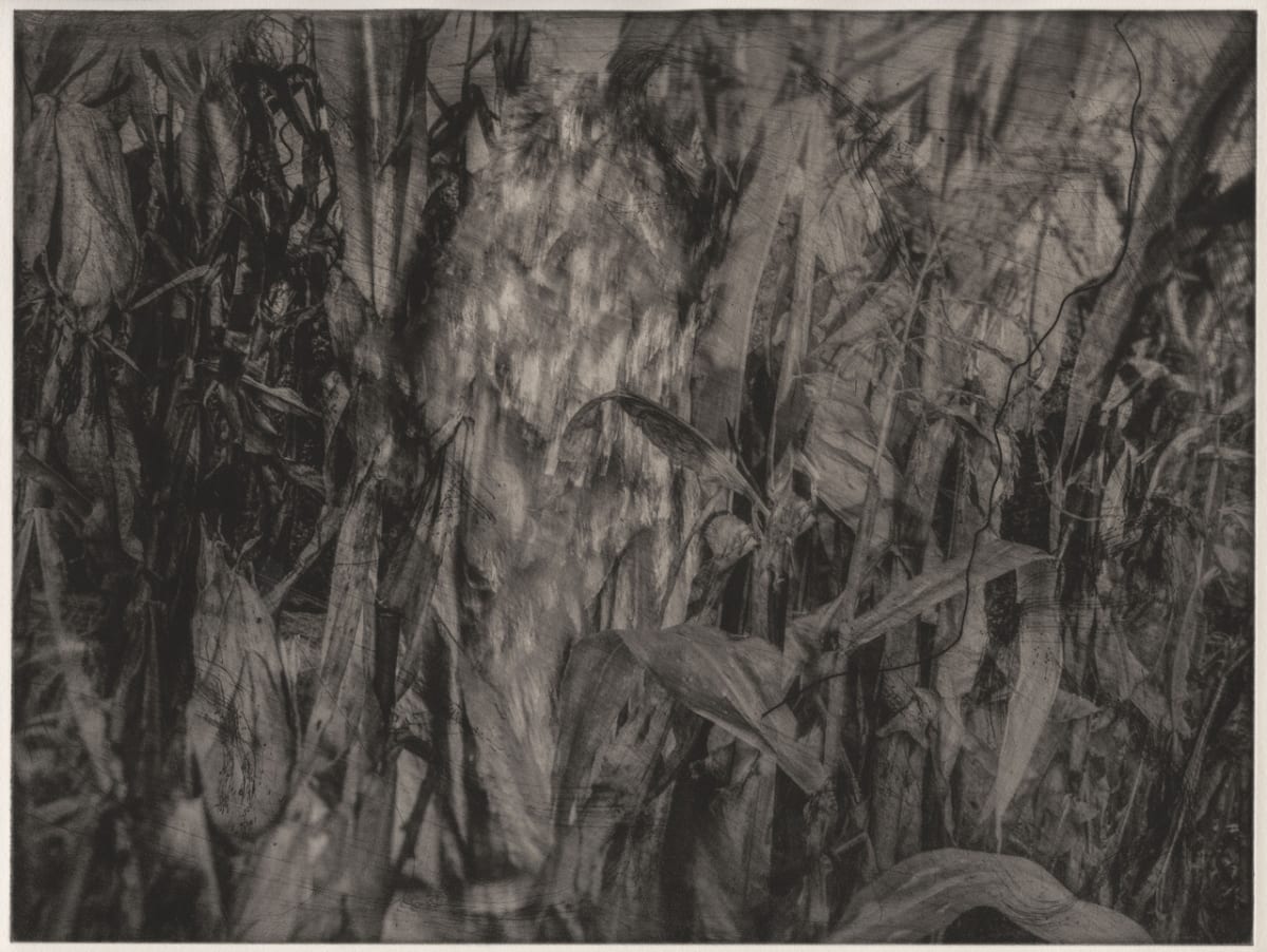 Being in the Land (Deep Ecology) by Robyn Moore 
