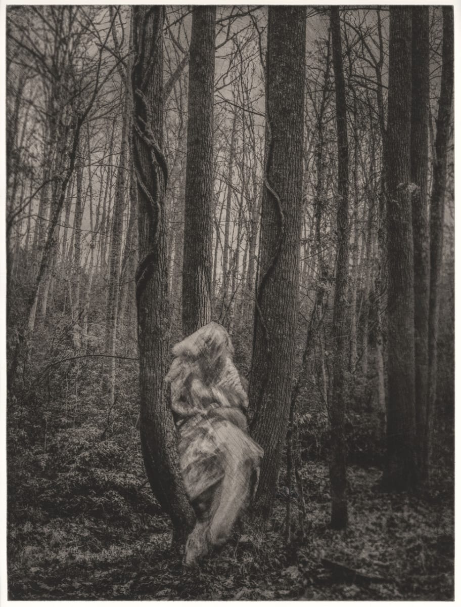 Being in the Land (Lamentation) by Robyn Moore 