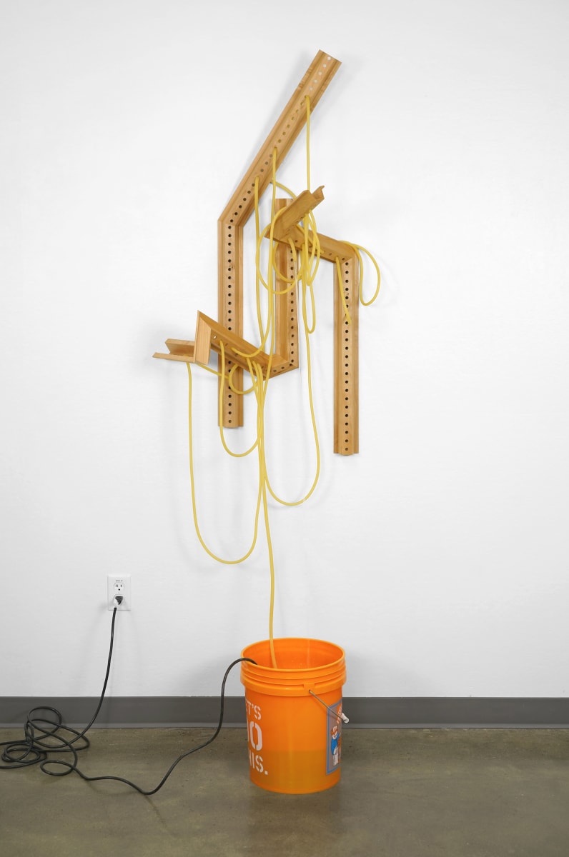 Leak by Michael Webster 