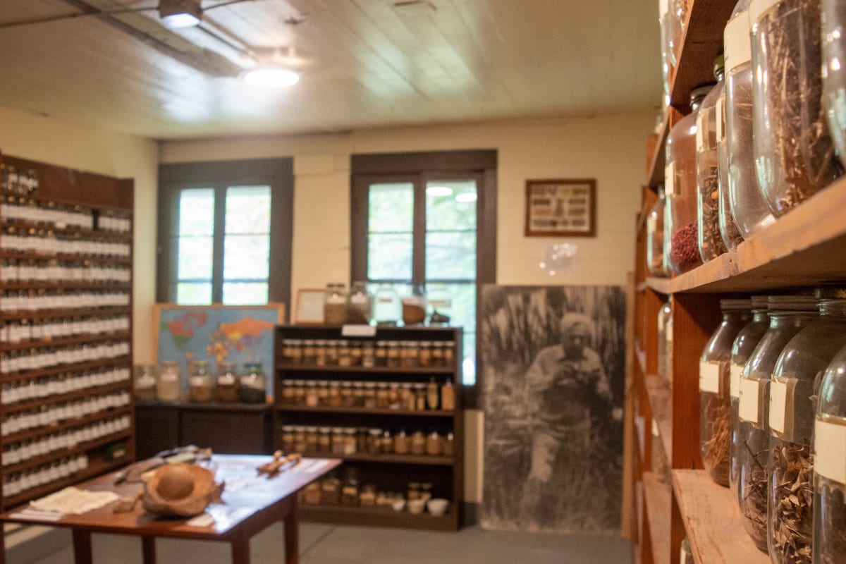 Emerging Traditional Artists Program Gathering at Pine Settlement School 