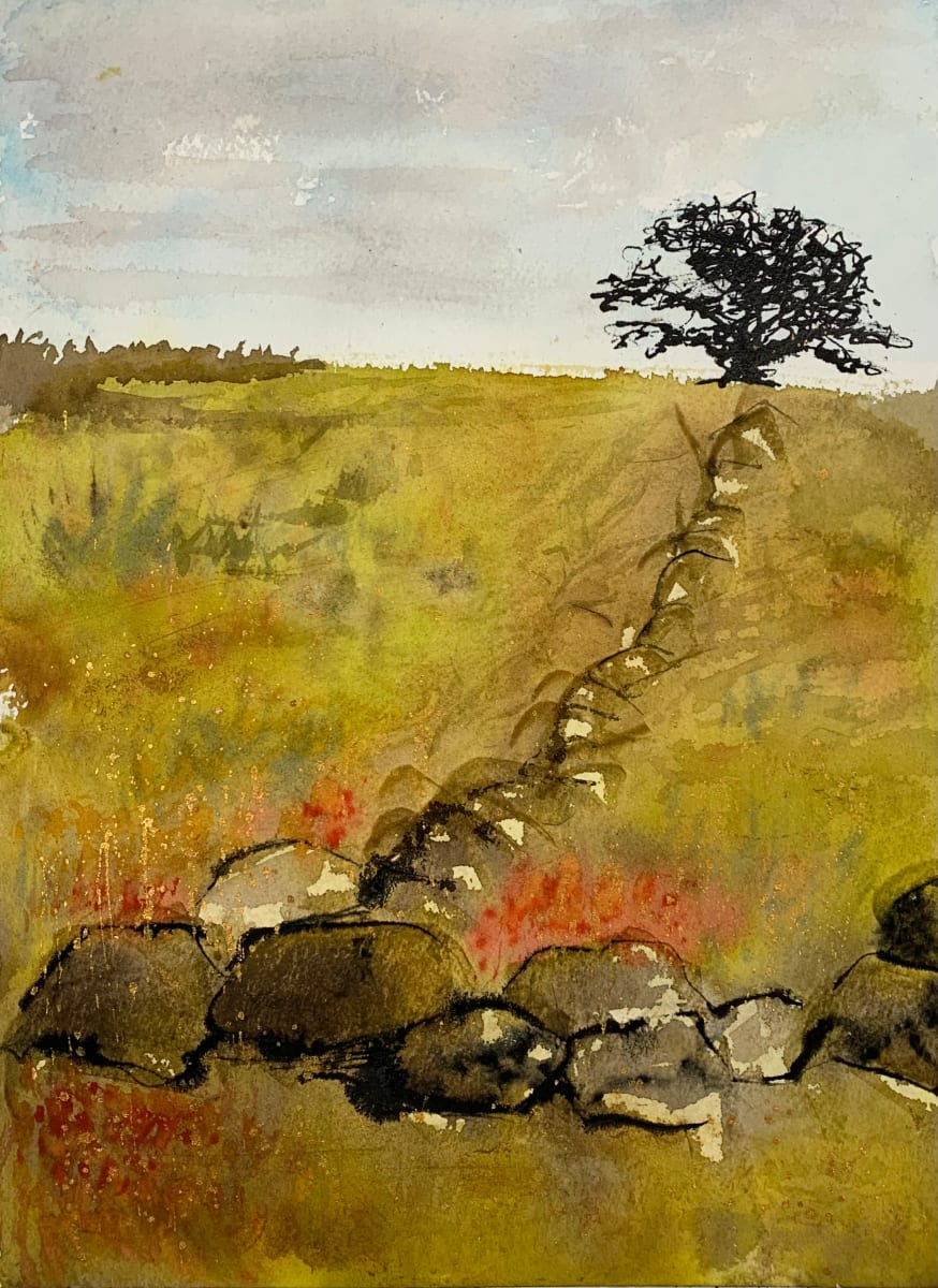 Clary Hill by Tina Ellis  Image: Clary Hill blueberry fields, Union, Maine.