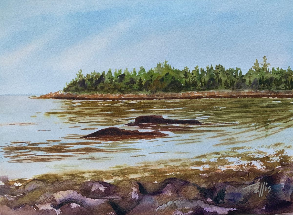 Like a Rock by Tina Ellis  Image: The tide was coming in looking over to Clark Island, Maine