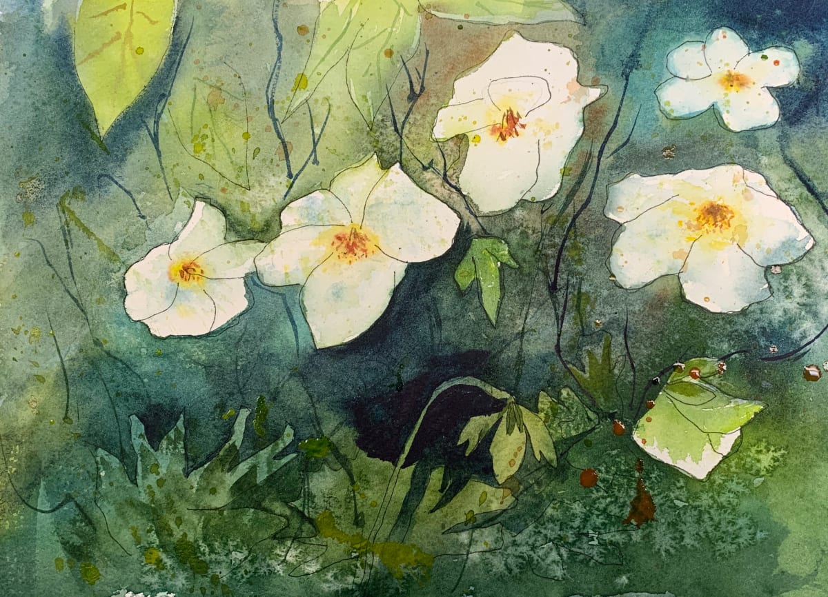 Wild Garden by Tina Ellis  Image: White Cranesbill flowers