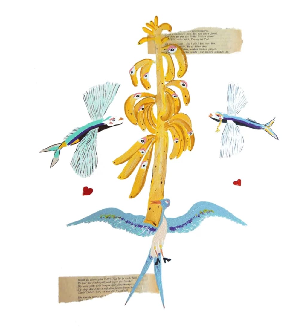 The Badada love plant by Marina Solé 