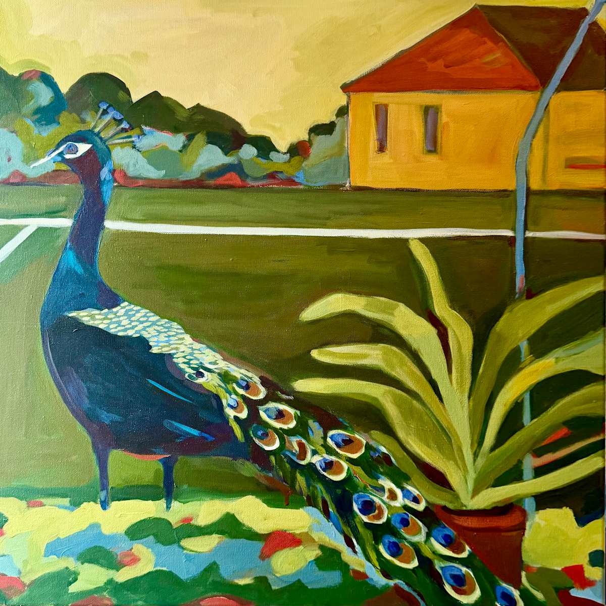 The Peacock's Lament by Ana Stapleton  Image: This piece is inspired  by the feathered spectators that sometimes wander to our tennis courts as we play. Pretty sure that the crying sound they make as they hover nearby is in direct response to the shots we keep missing. Stop crying, ok, I’m doing my best…

