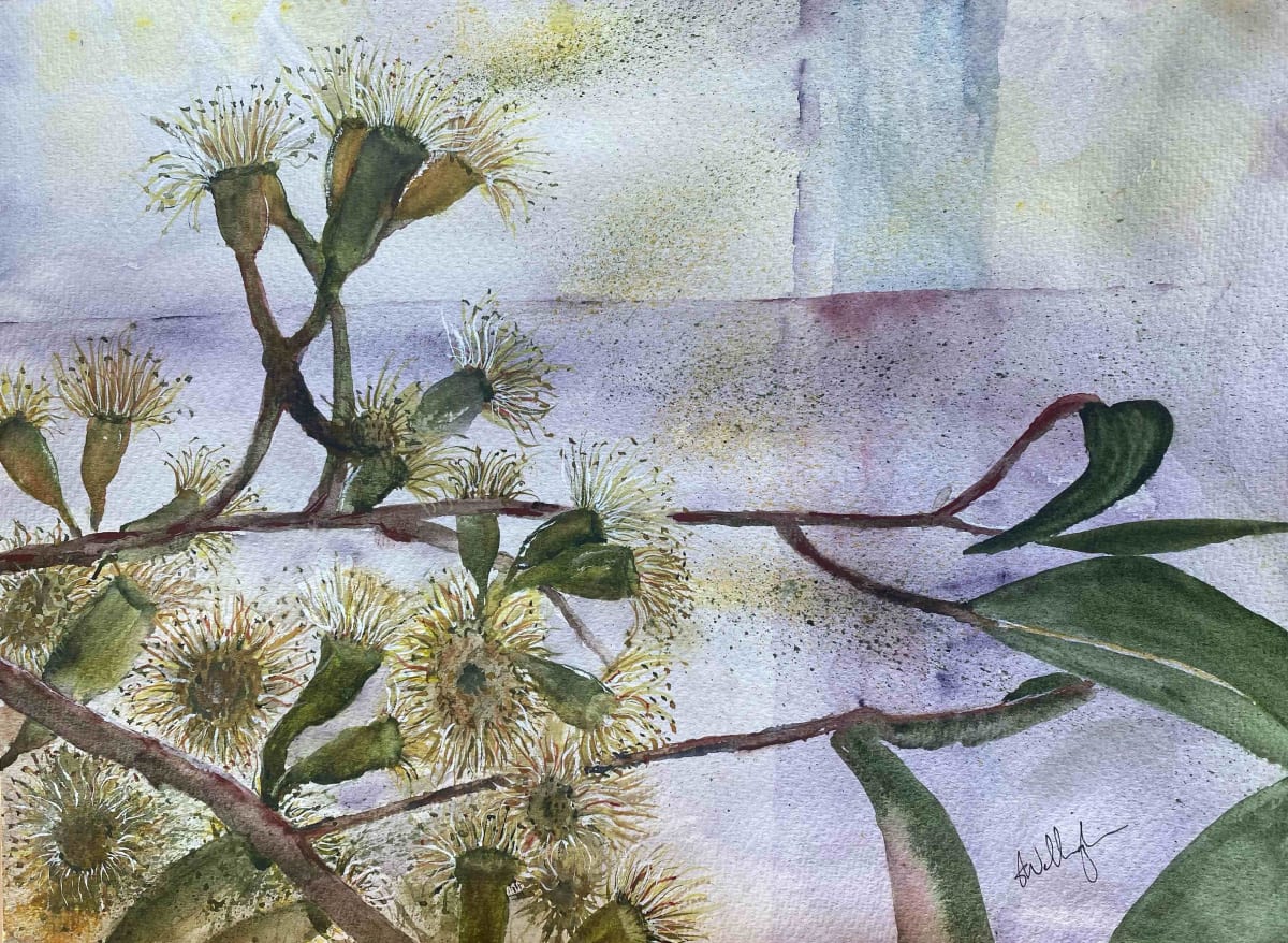 Bush Blossom by Susan Wellingham  Image: A Spray of Pale Gumnuts