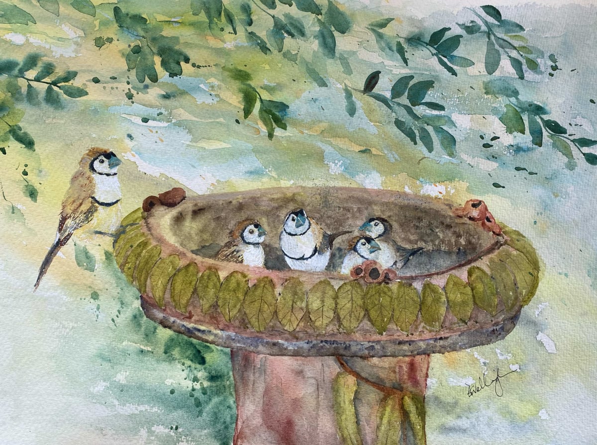 Gossip Bath by Susan Wellingham  Image: Barred Finches at the Birdbath