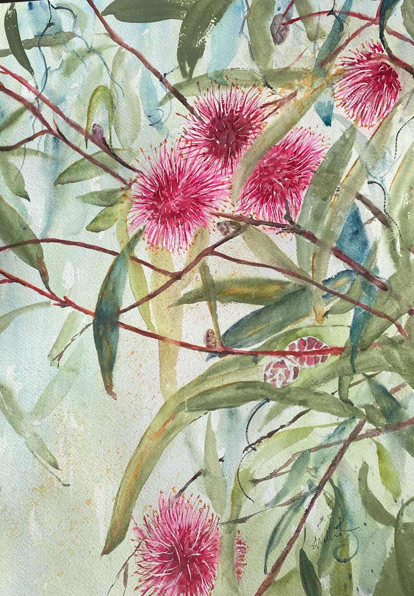 Hello Hakea by Susan Wellingham  Image: Hakea floral