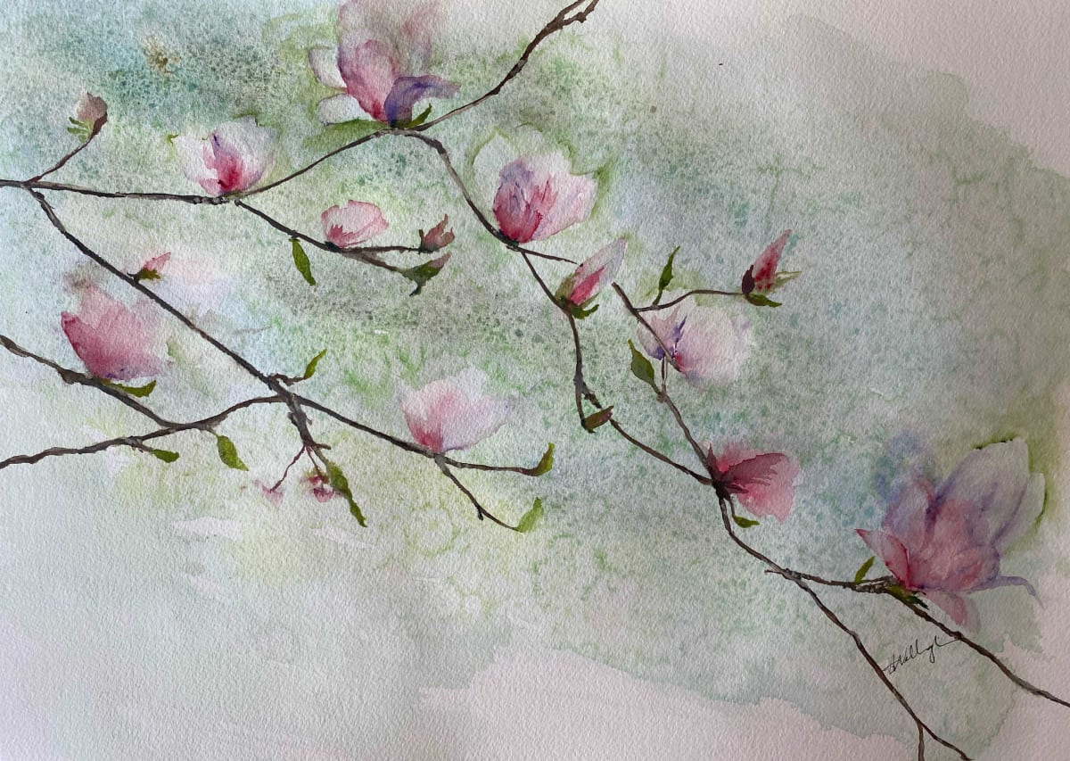Reminiscent Whispers by Susan Wellingham  Image: A gentle flow of pink magnolias