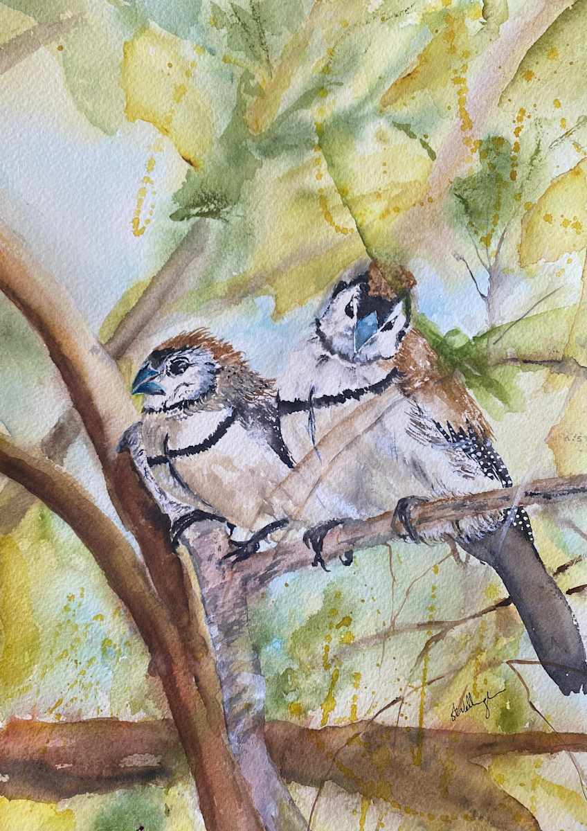 Lover’s Tiff by Susan Wellingham 
