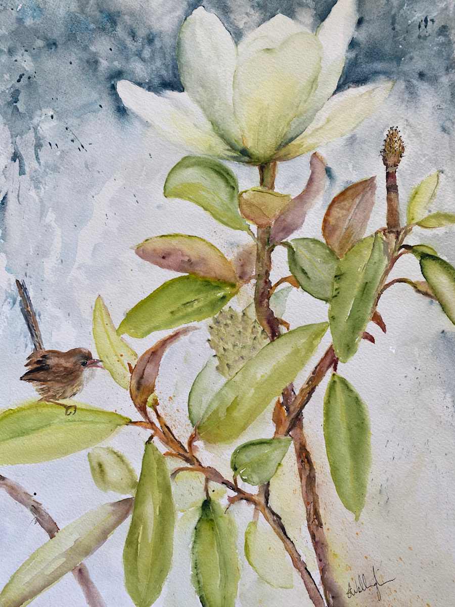 Valley Magnolia and Wren by Susan Wellingham 