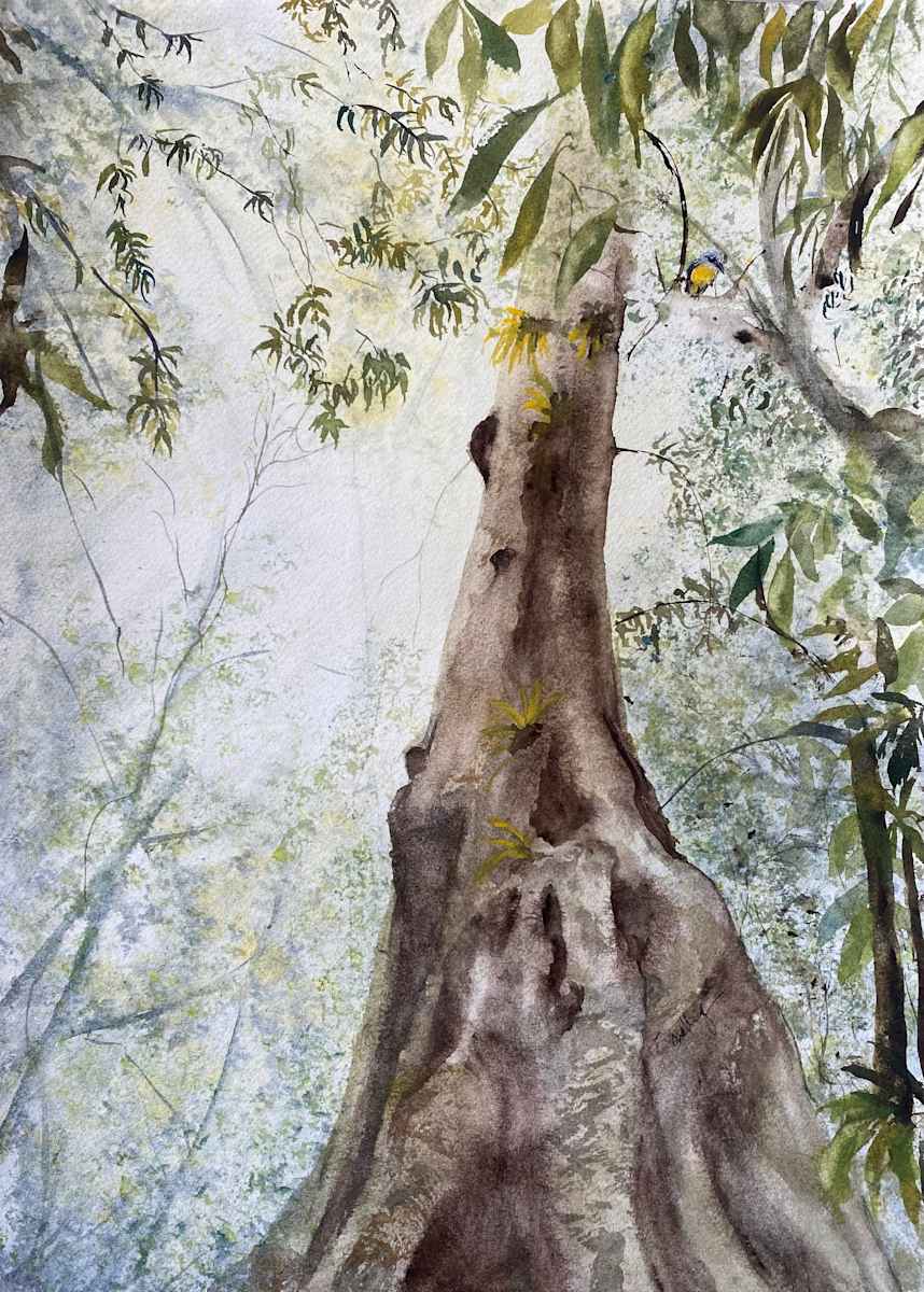 A Place to Be by Susan Wellingham 