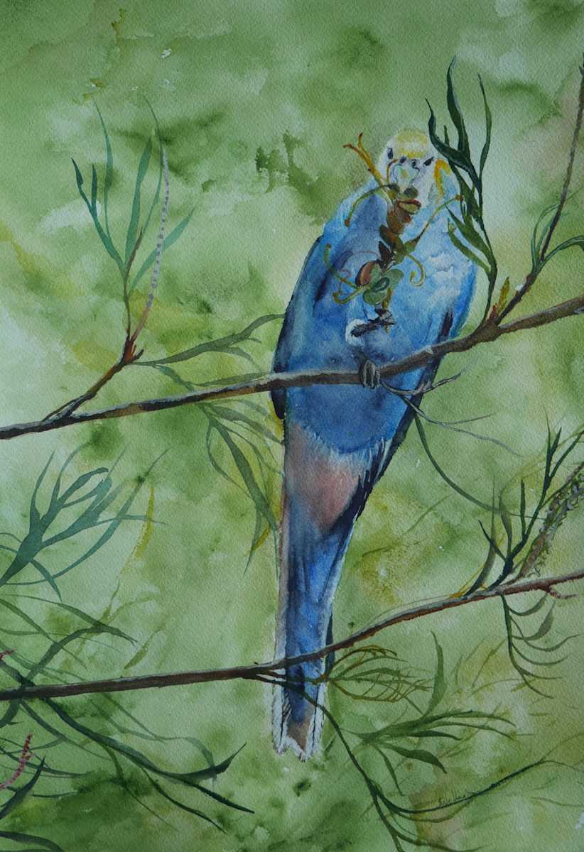 Bush Buffet by Susan Wellingham 