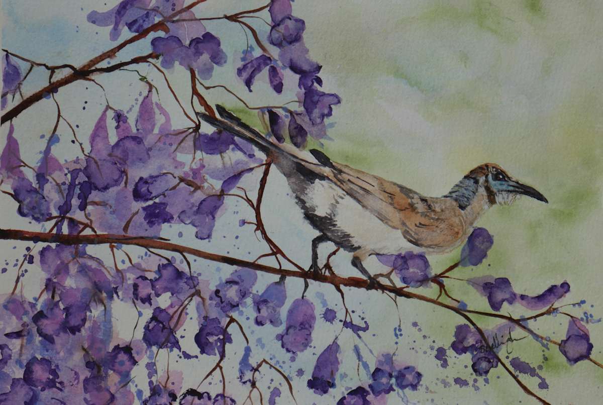 Little Friarbird's Moment by Susan Wellingham 