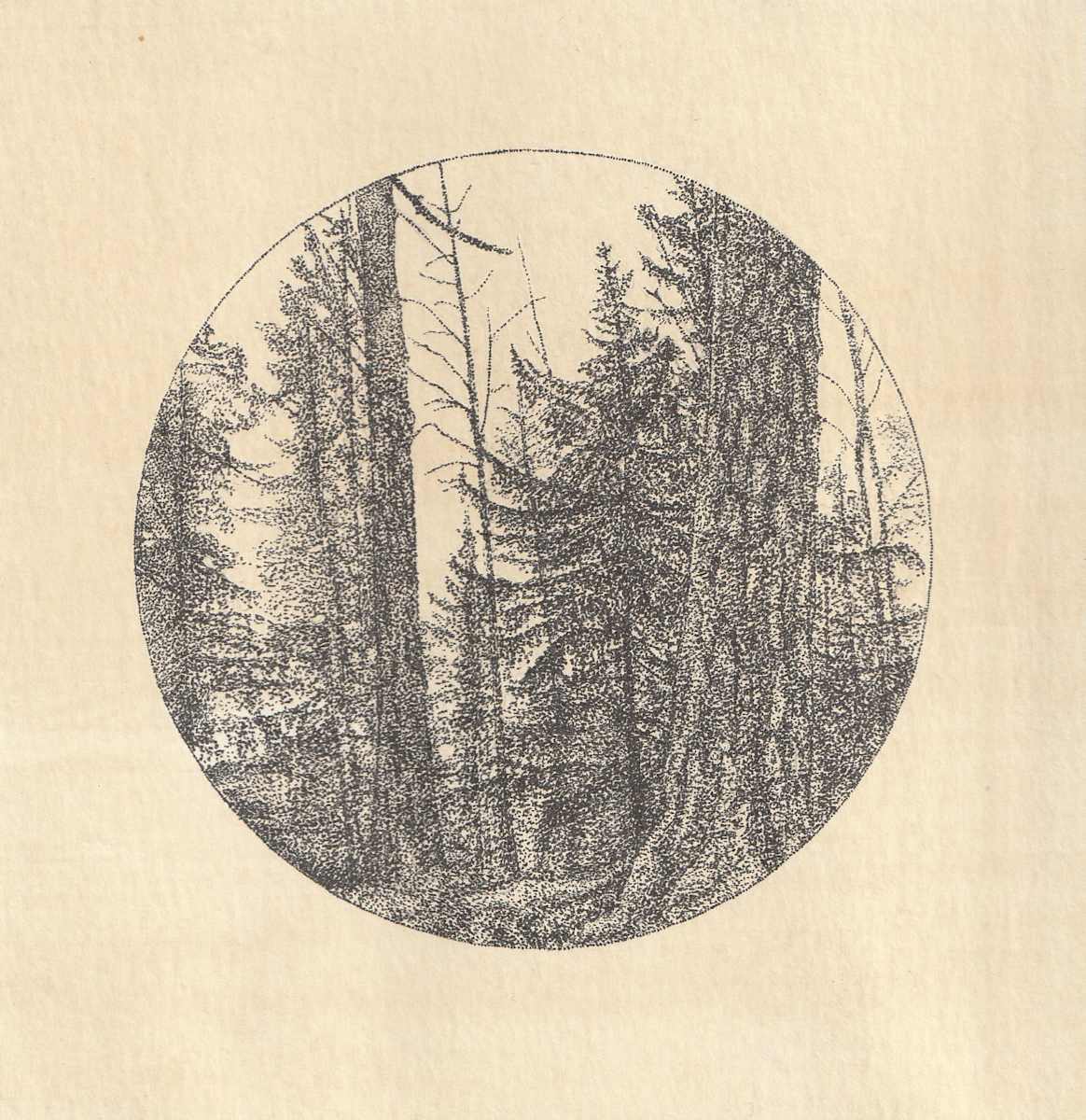 Untitled by Alexandra Uppman, Image 3.