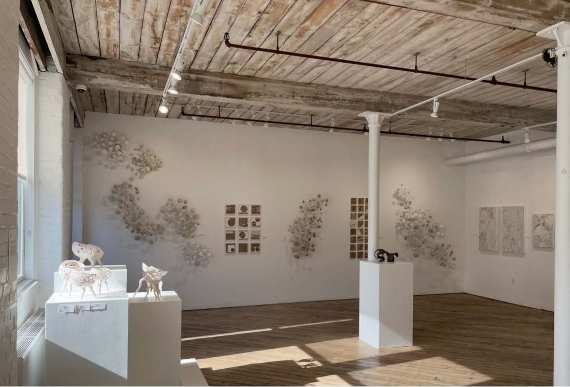 Installation at the Crown Gallery, Metro Art Studios by Tamara Dimitri 