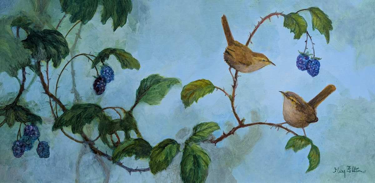 Wrens and Blackberries by Floy Zittin 