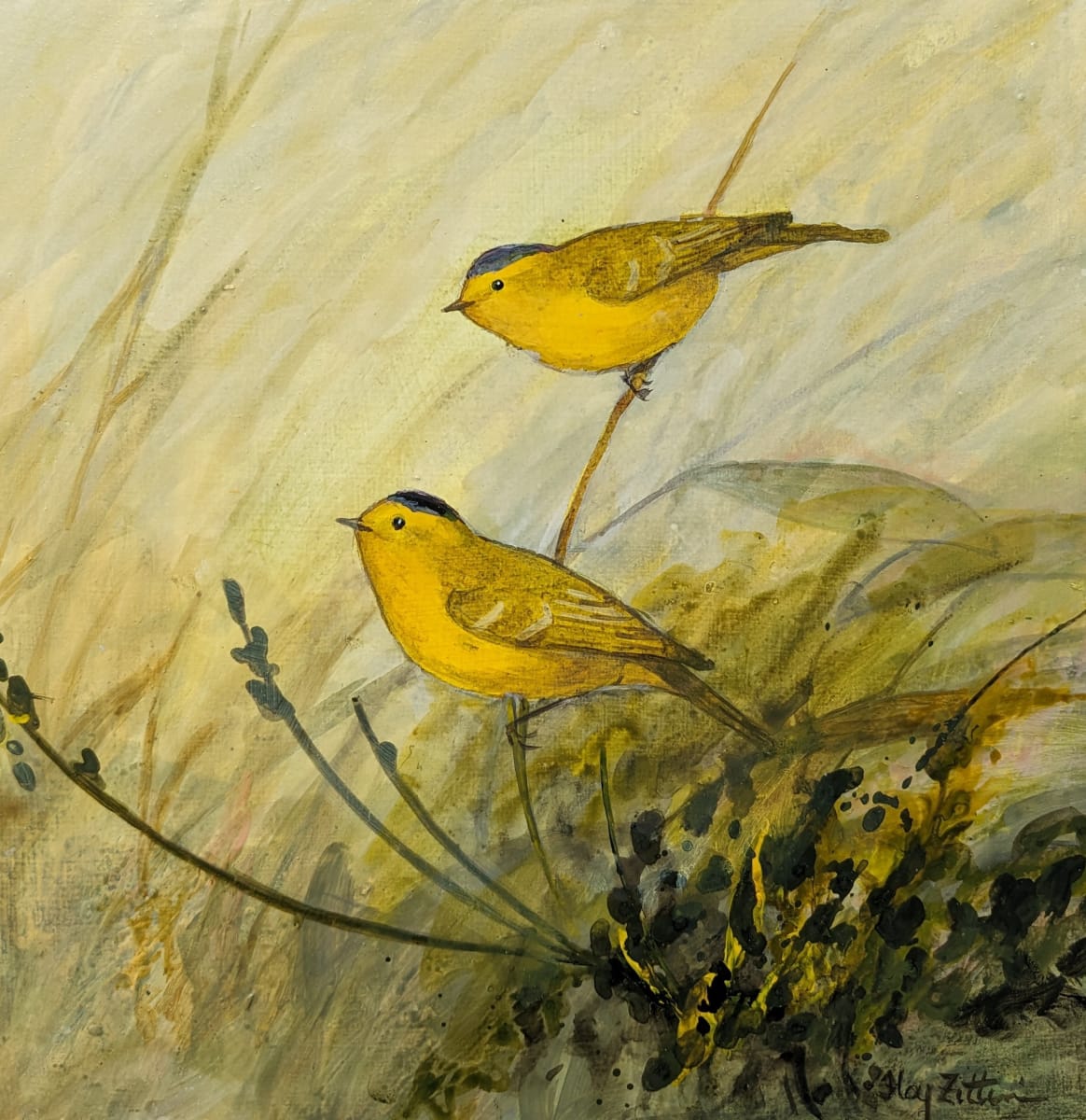 Wilson's Warblers by Floy Zittin 