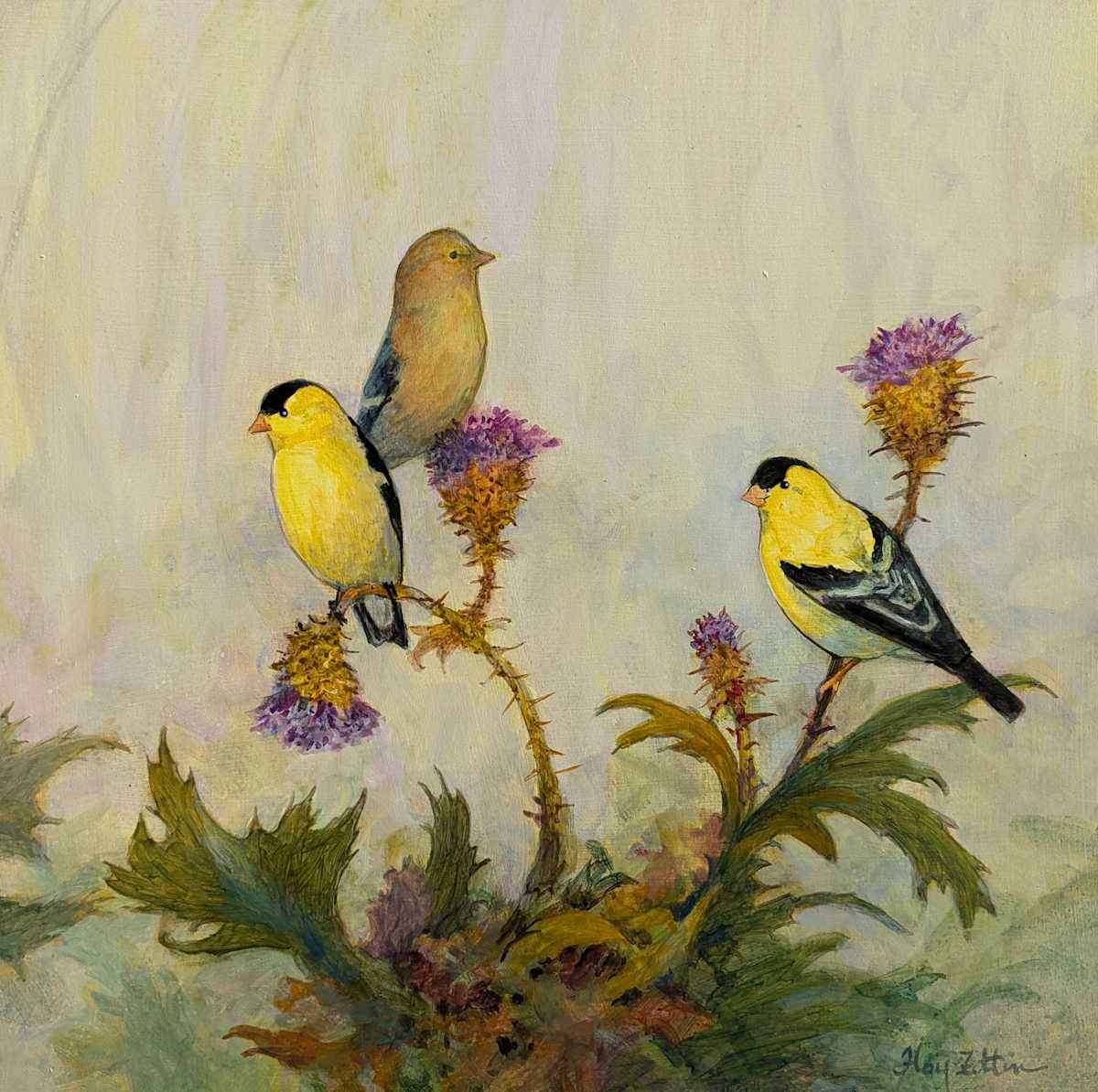 American Goldfinch II by Floy Zittin 