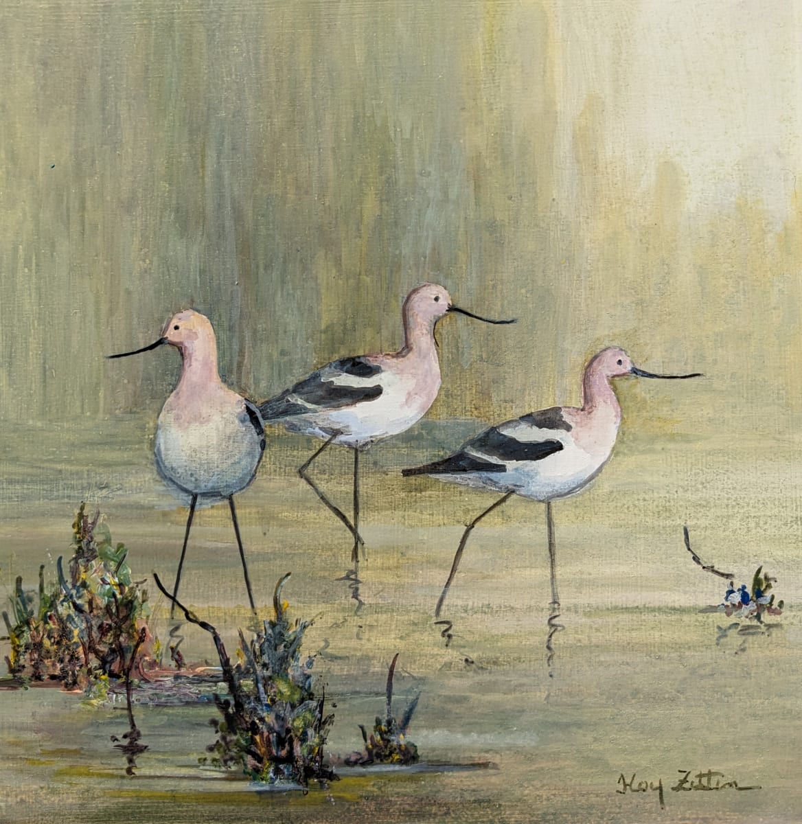 Avocet Trio by Floy Zittin 