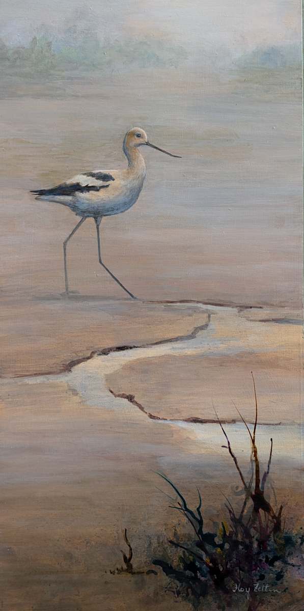 Avocet at Low Tide by Floy Zittin, Image 1.