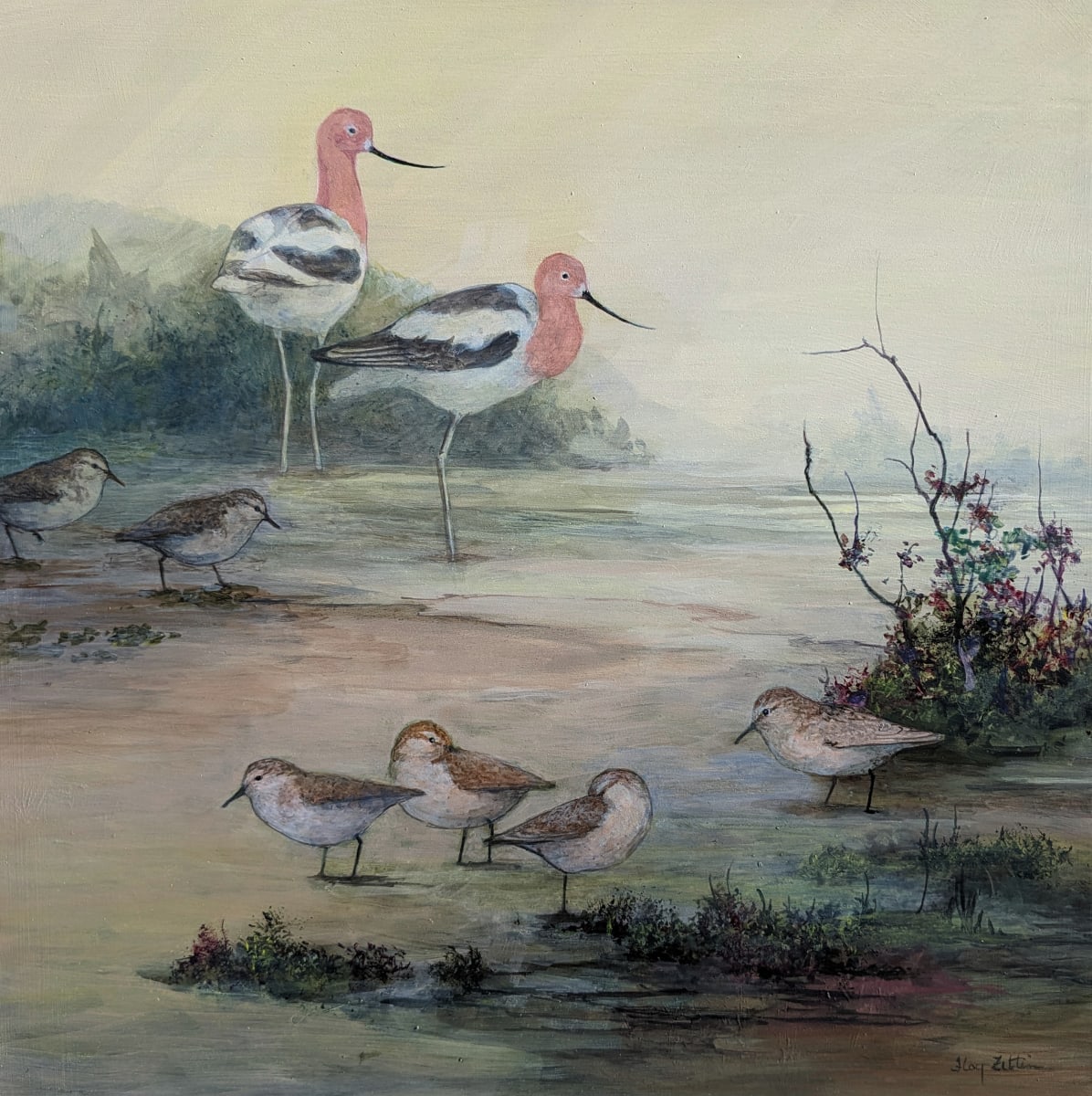 Avocets and Sandpipers by Floy Zittin, Image 1.
