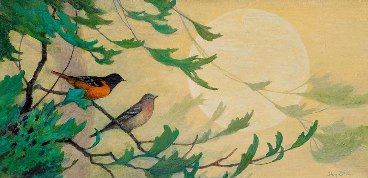 Baltimore Orioles by Floy Zittin 