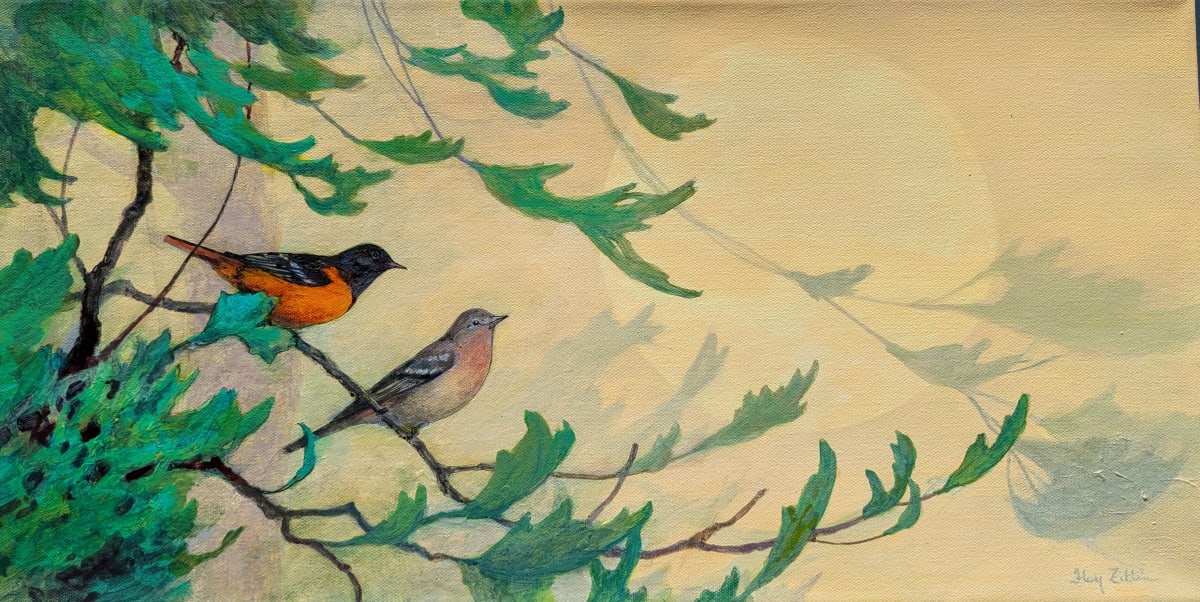 Baltimore Orioles by Floy Zittin 