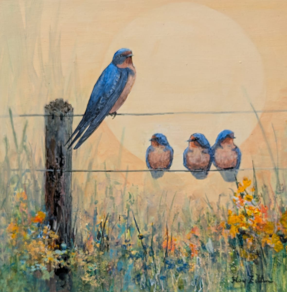 Barn Swallow Family by Floy Zittin 