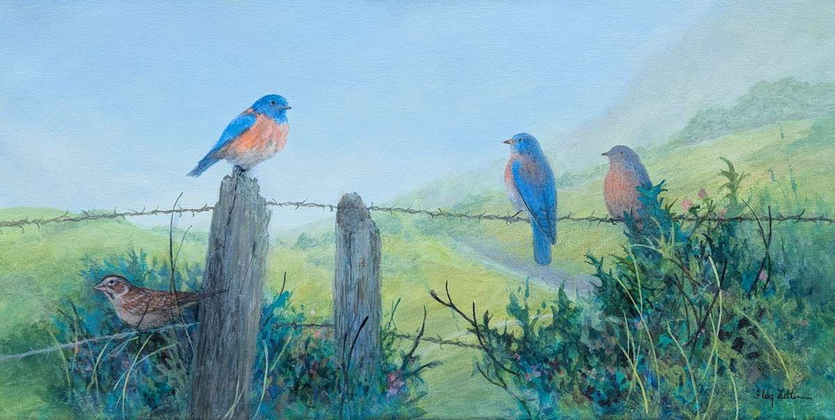Bluebird Trio and a Sparrow by Floy Zittin 