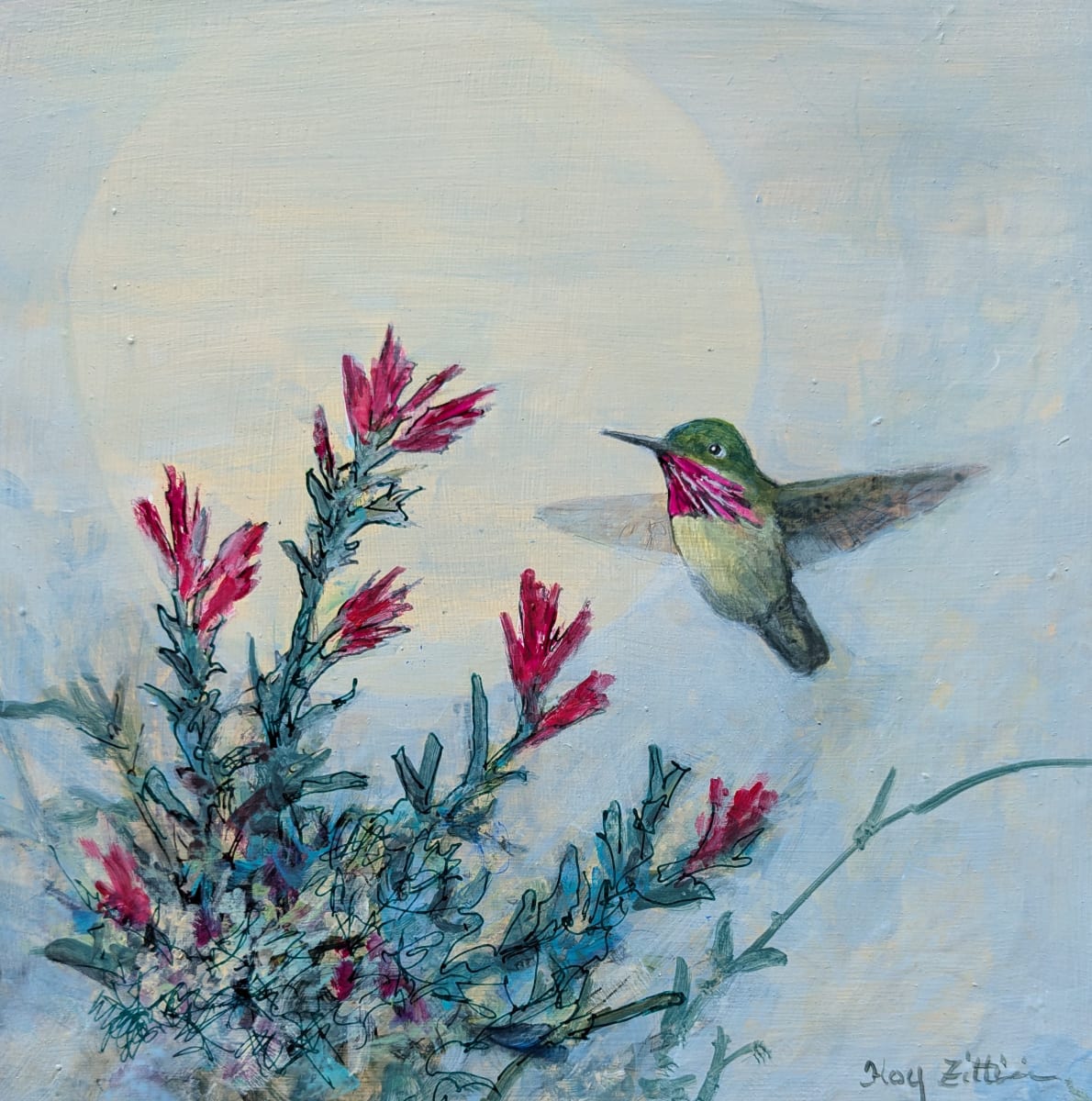 Calliope Hummingbird and Paintbrush by Floy Zittin 