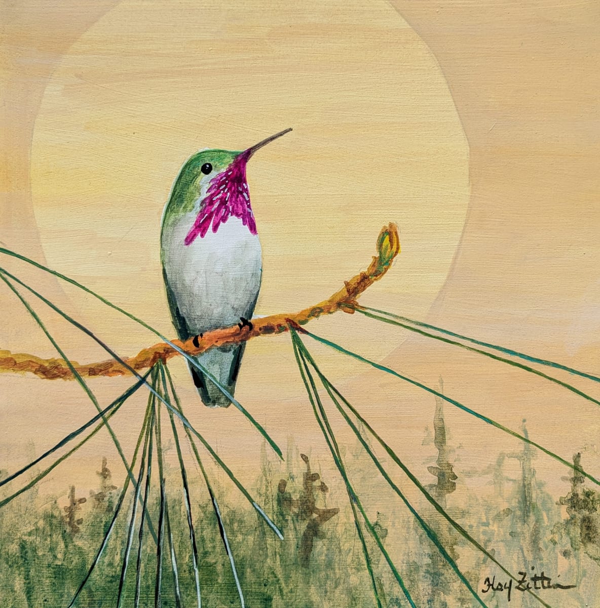 Calliope Hummingbird by Floy Zittin 