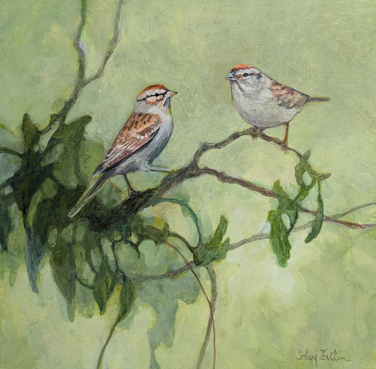 Chipping Sparrows by Floy Zittin 