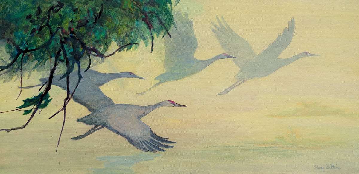 Cranes in Flight by Floy Zittin 