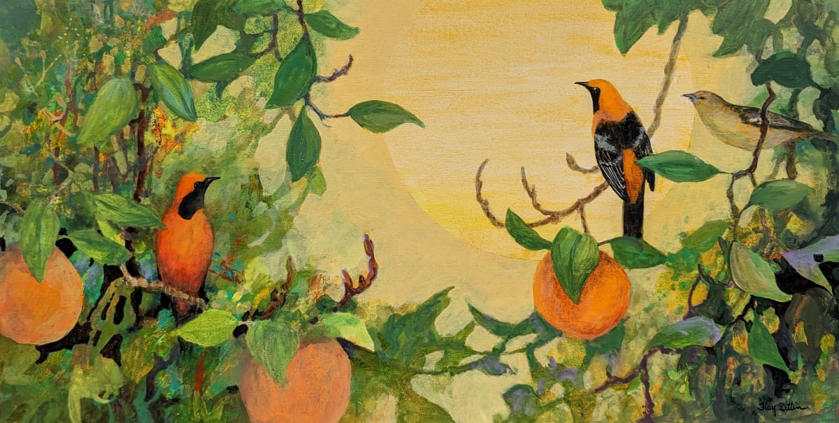 Hooded Orioles and Oranges by Floy Zittin 