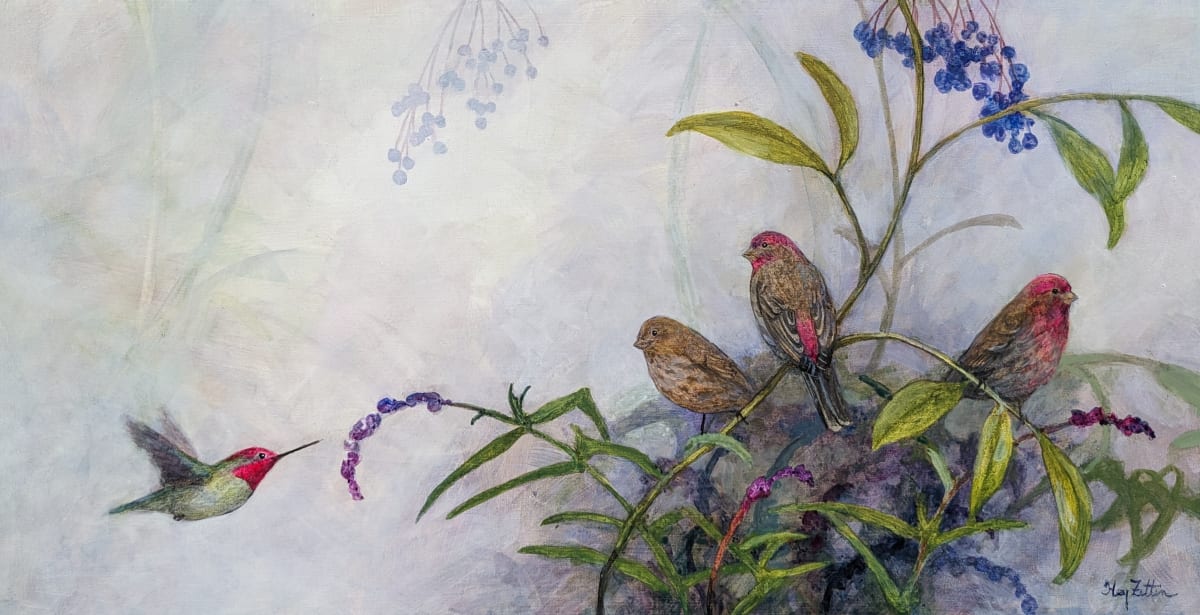 House Finch and Elderberry by Floy Zittin 