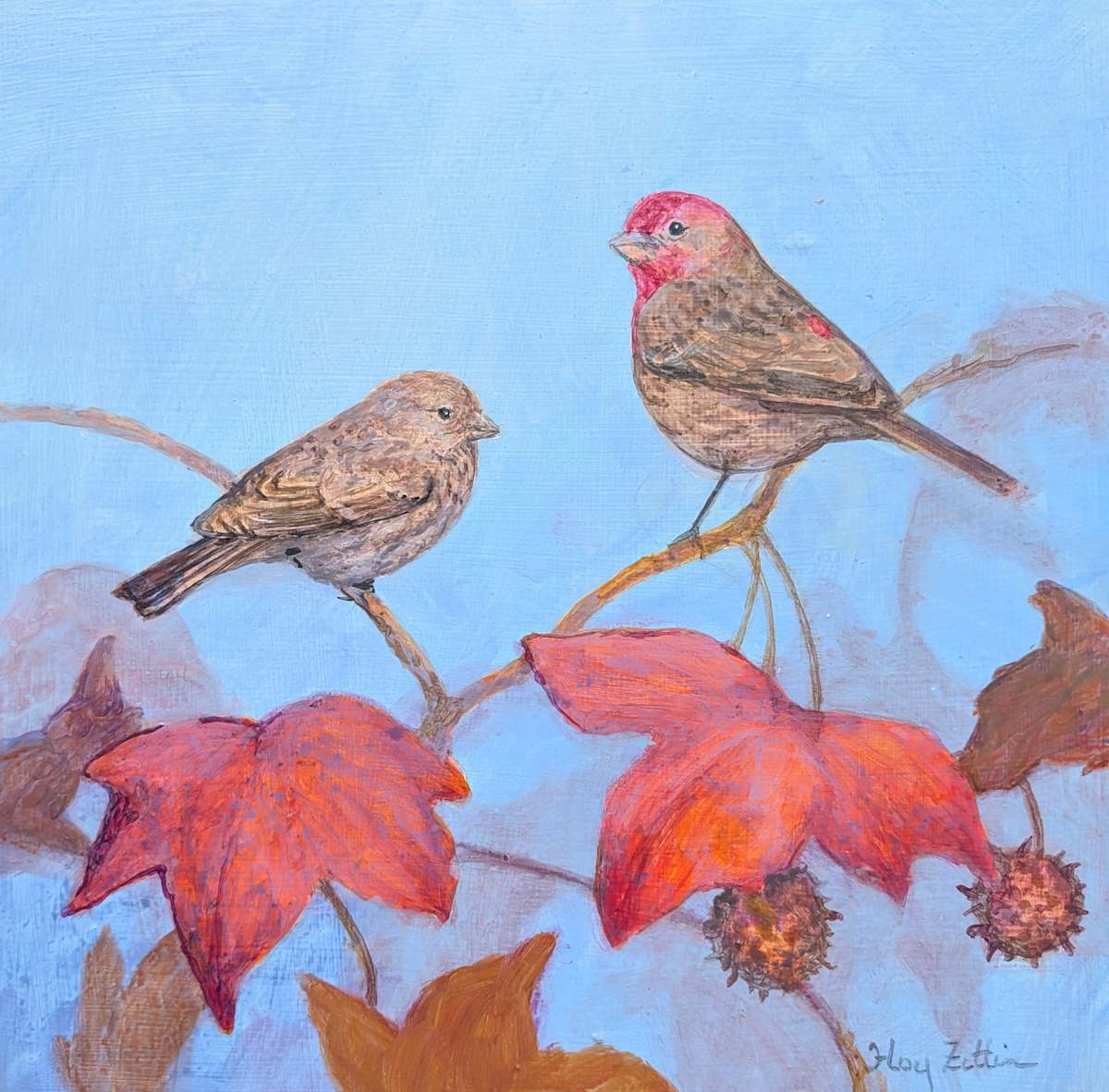 House Finch and Liquid Amber by Floy Zittin 