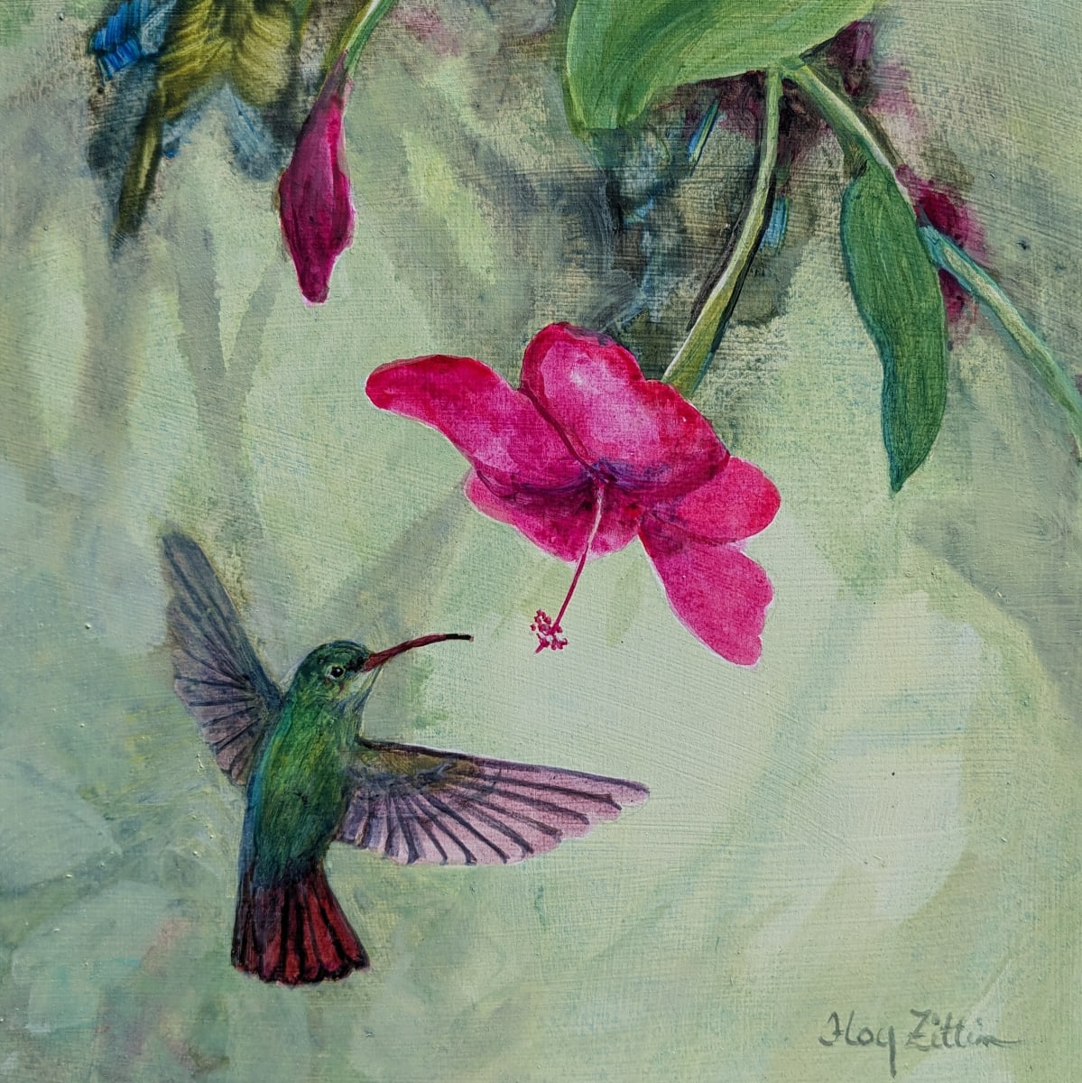 Hummingbird and Hibiscus by Floy Zittin 