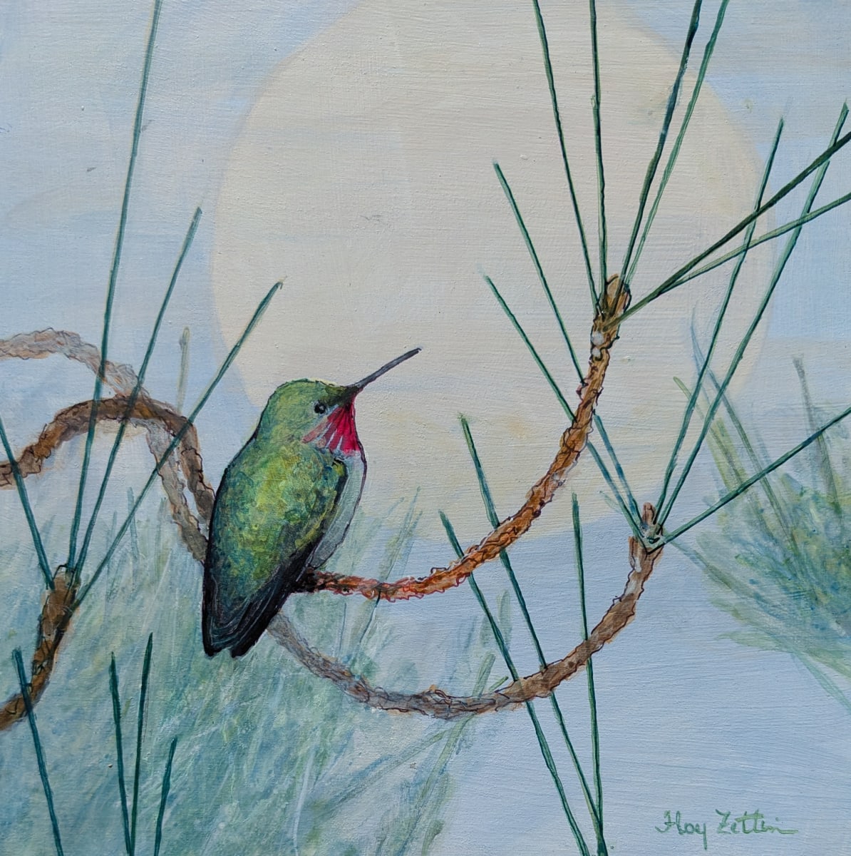 Hummingbird and Pine by Floy Zittin 