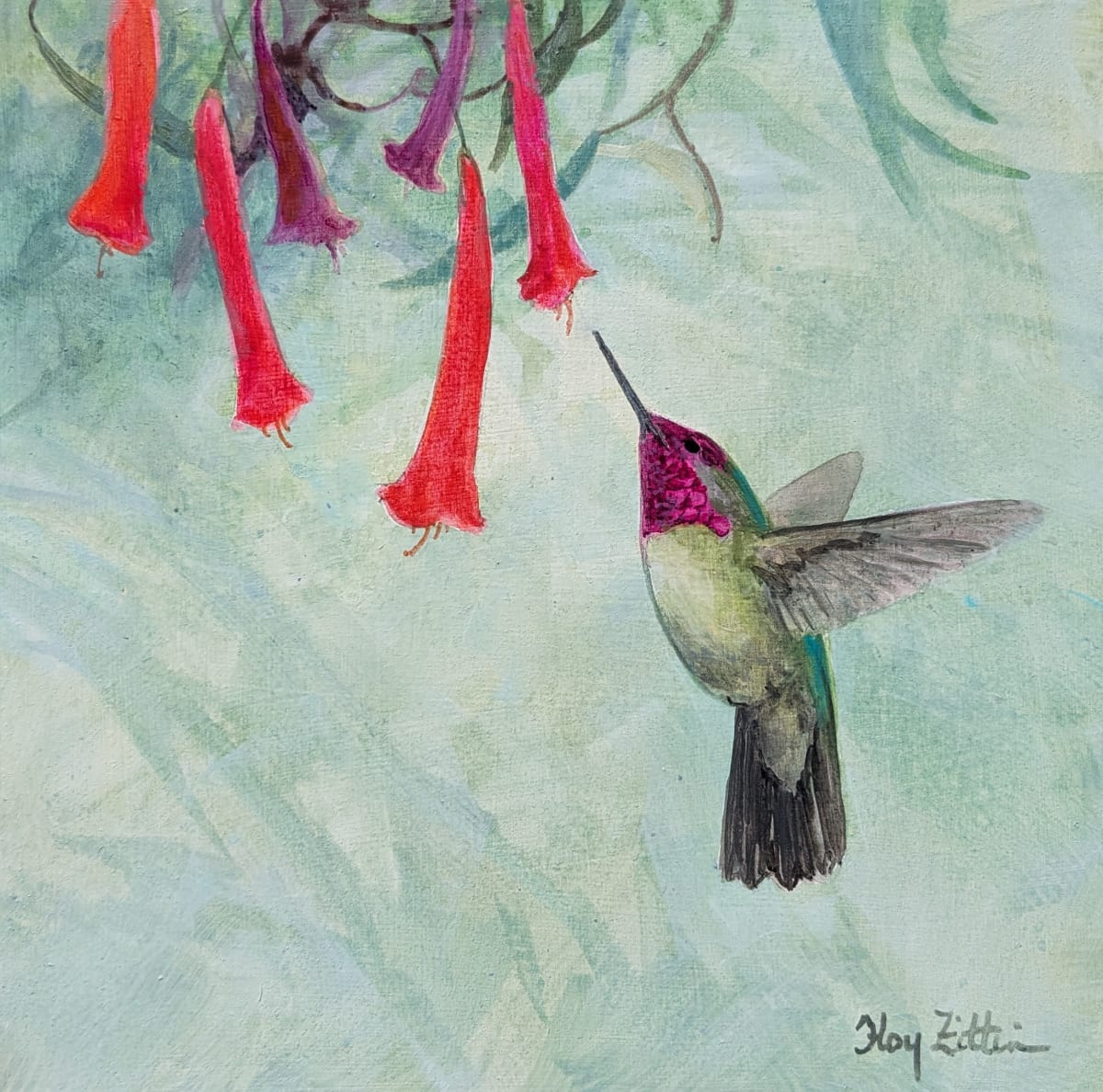 Hummingbird and Red Flowers by Floy Zittin 