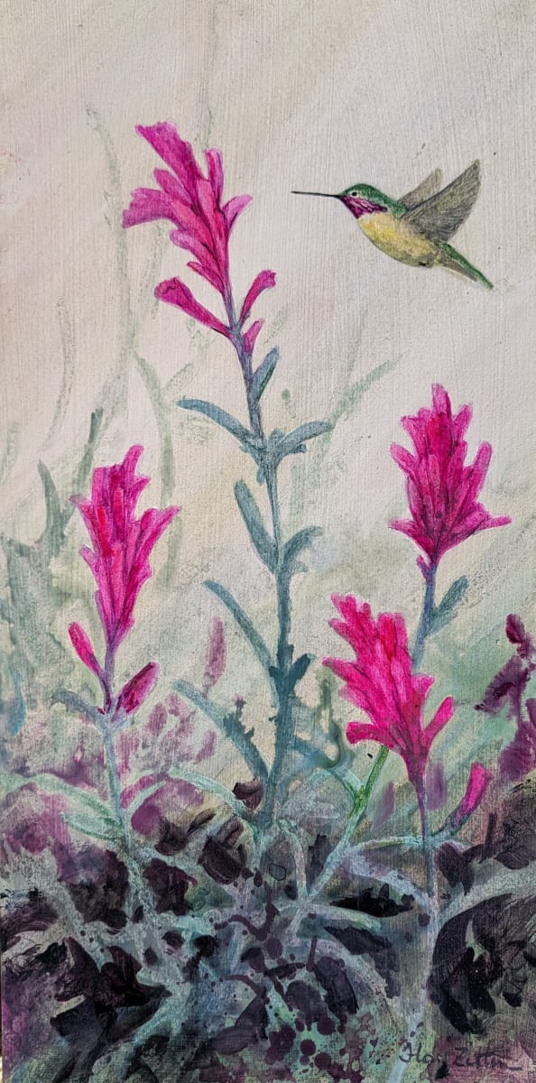 Indian Paintbrush and Calliope Hummingbird by Floy Zittin 