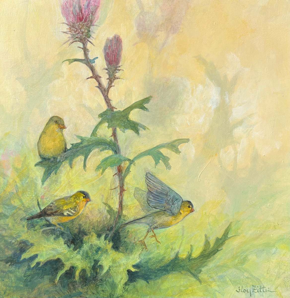 Lesser Goldfinch and Thistles by Floy Zittin 