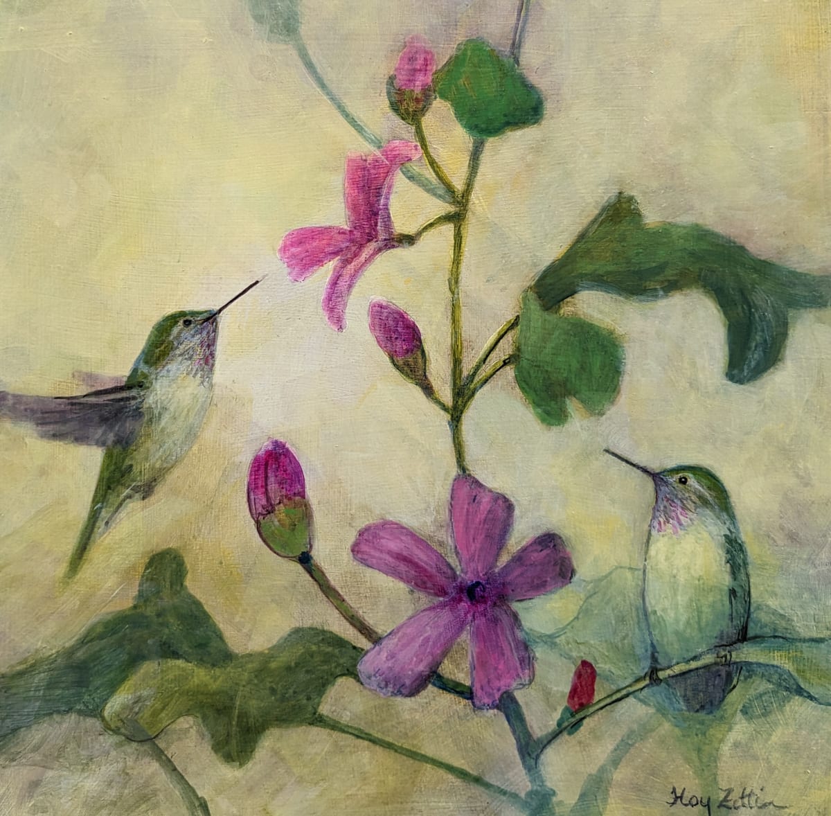 Mallow and Hummingbirds by Floy Zittin 