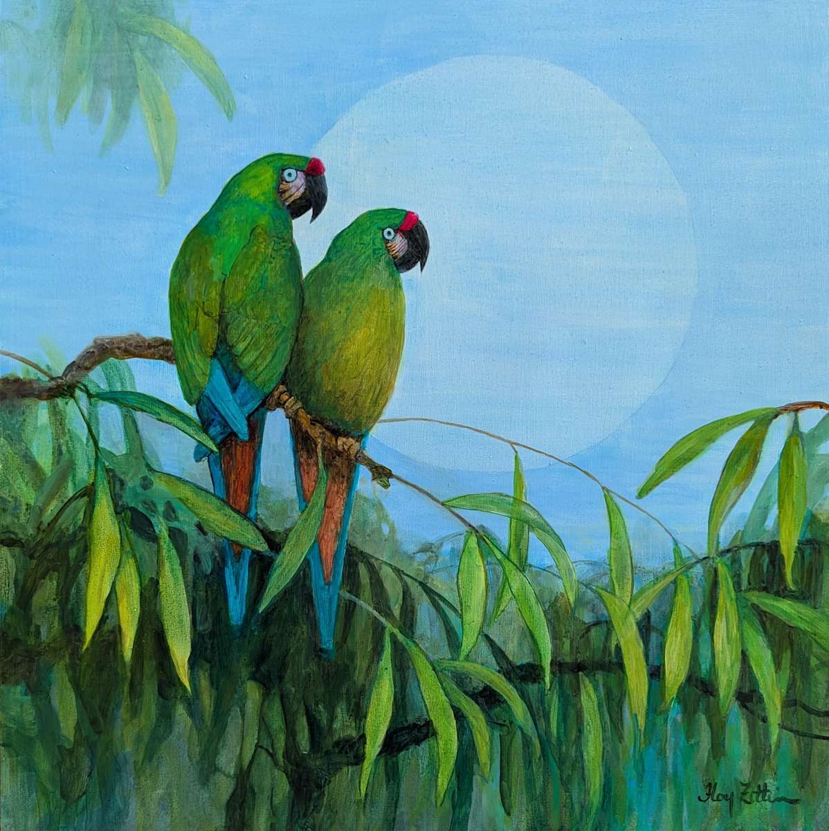Military Macaws by Floy Zittin, Image 1.