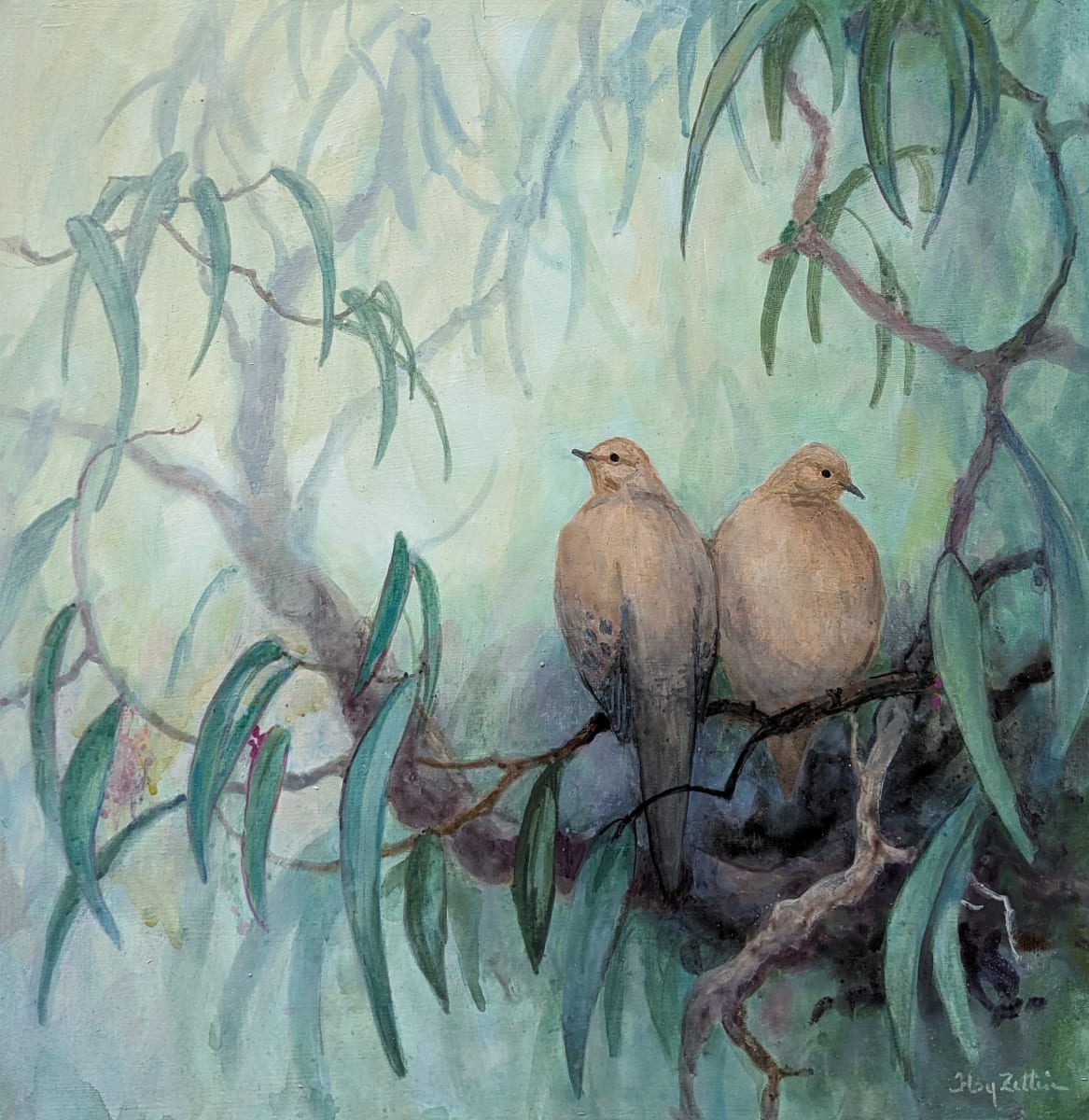 Mourning Doves in Eucalyptus by Floy Zittin 