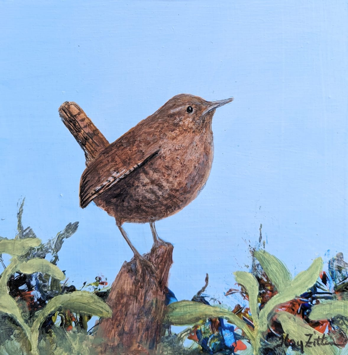 Pacific Wren by Floy Zittin 