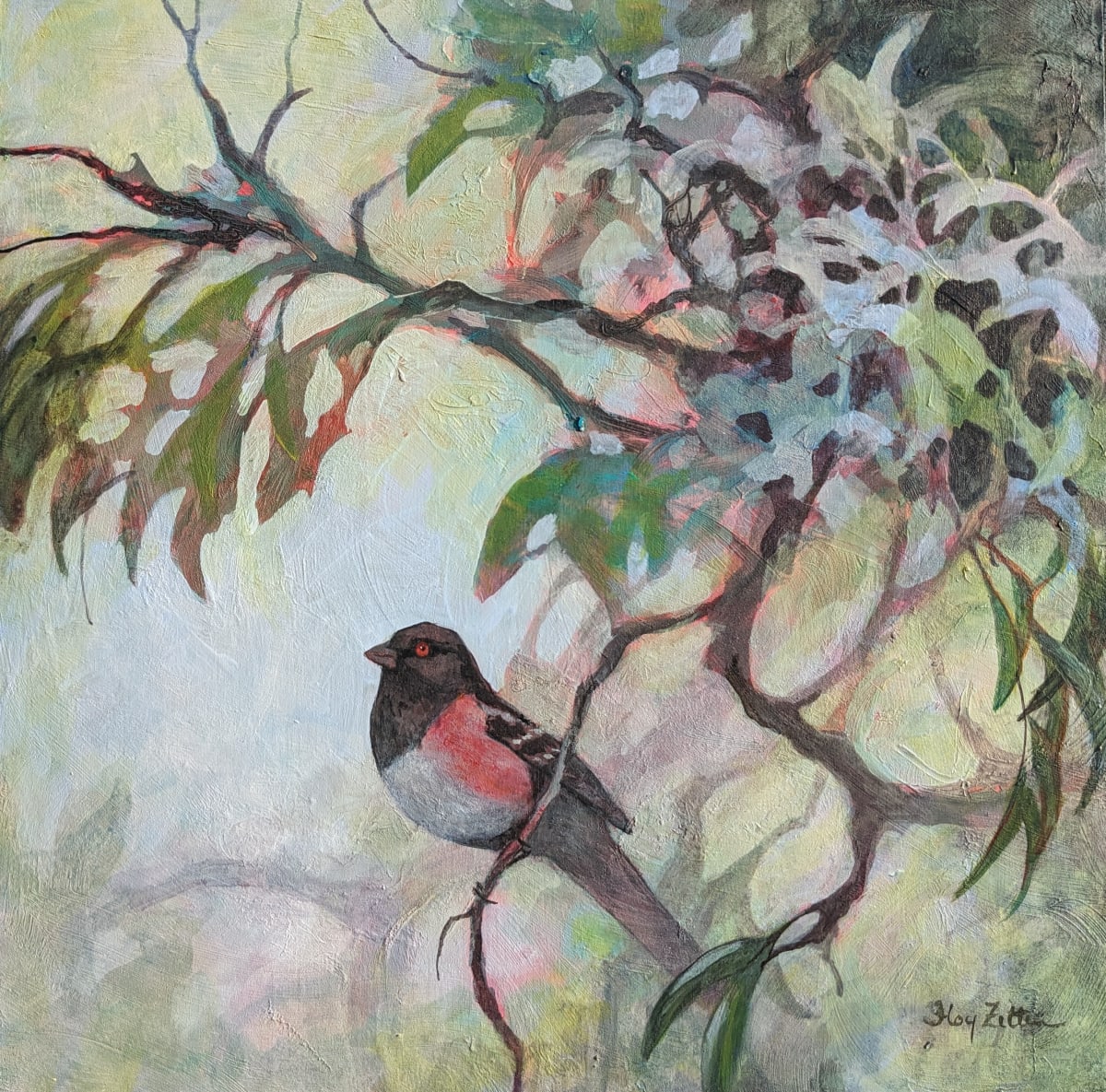 Playful Towhee by Floy Zittin 