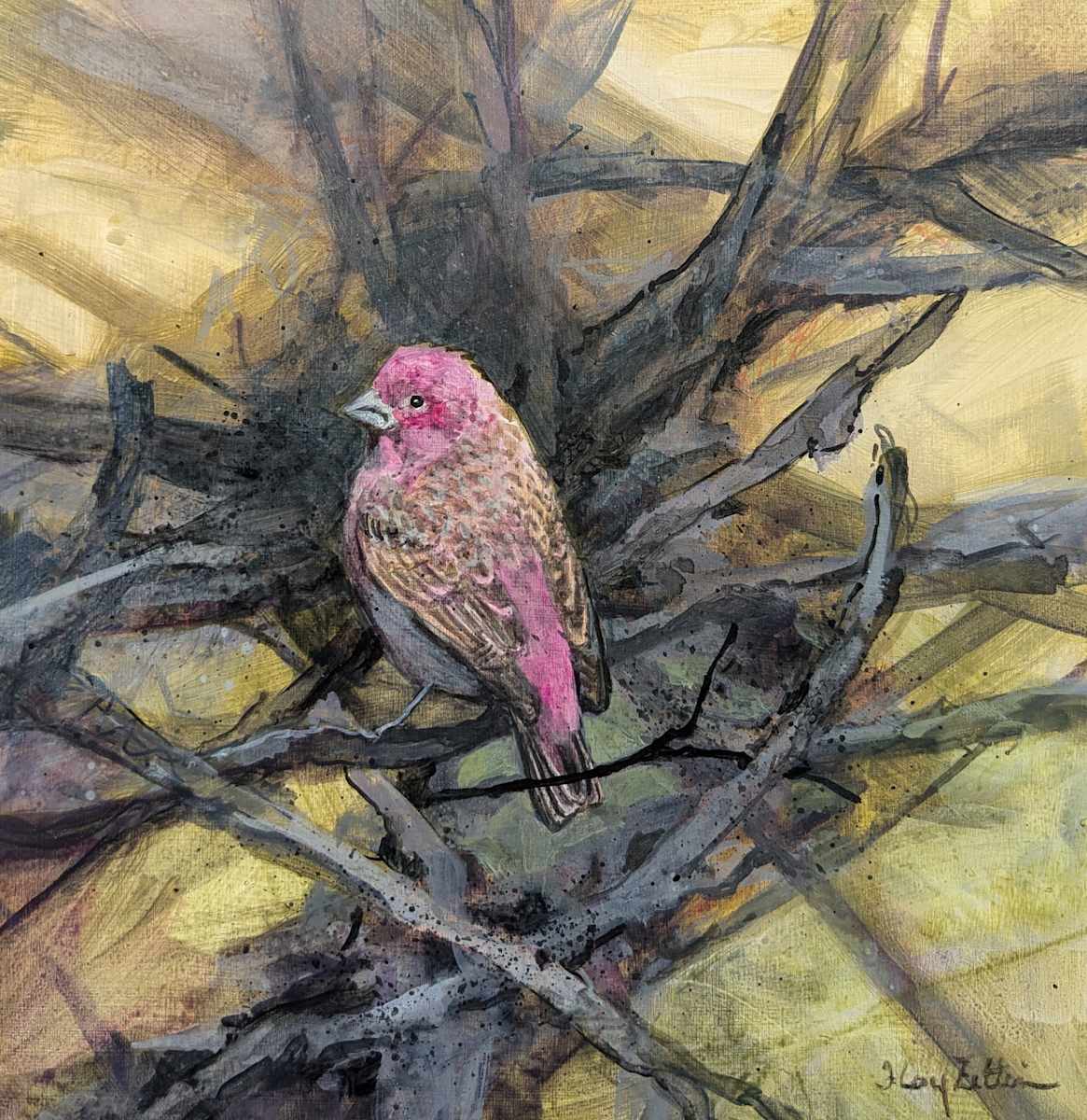 Purple Finch by Floy Zittin 